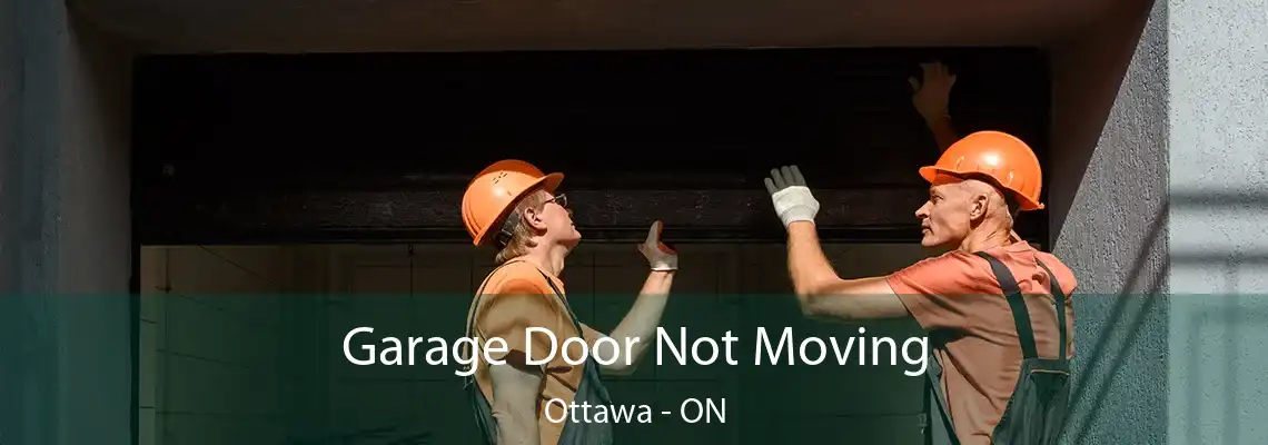 Garage Door Not Moving Ottawa - ON