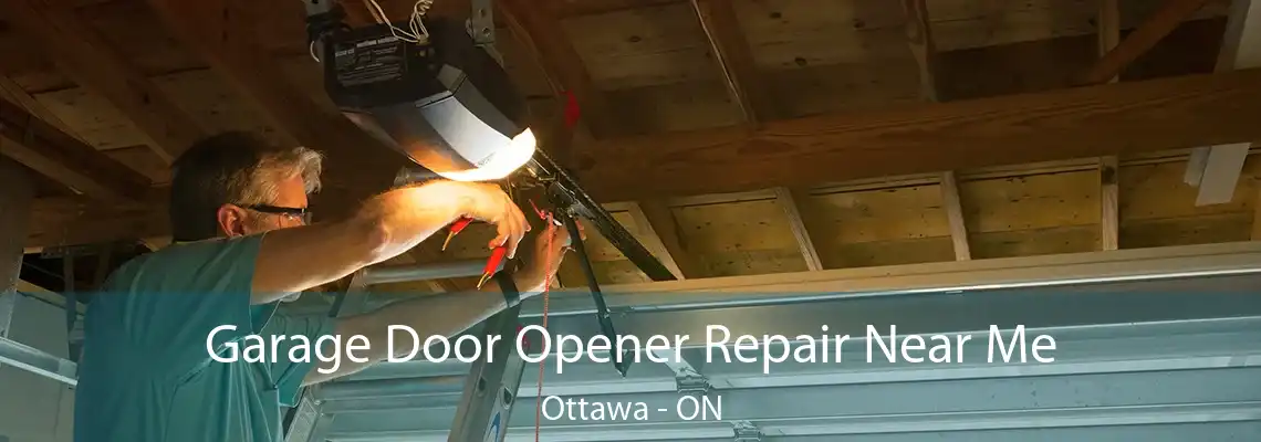  Garage Door Opener Repair Near Me Ottawa - ON