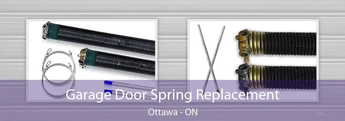 Garage Door Spring Replacement Ottawa - ON